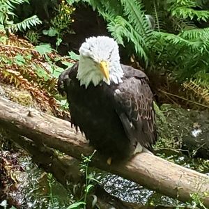 Meet your Posher, Tom